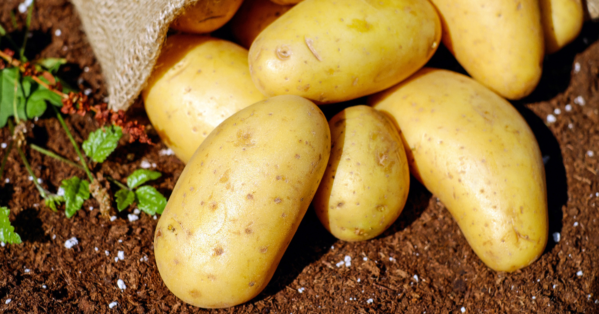 Check out THESE delicious and super quick potato recipes that you can try at home 