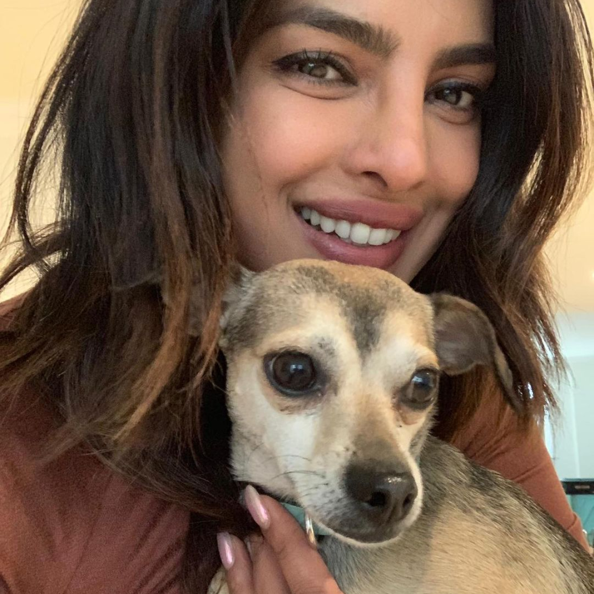 Priyanka Chopra reveals how her pup Diana became her biggest strength during her initial days in New York.